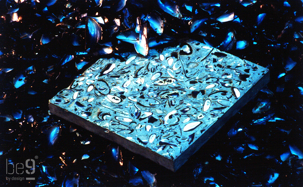 A tile amongst Mussel shells