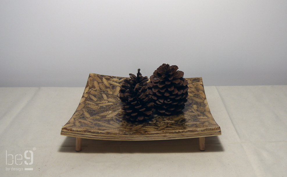 Plateau with Pinecones frontal
